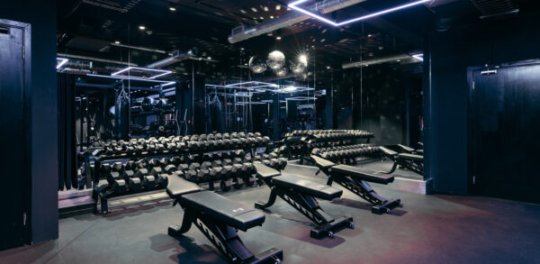 The Gym